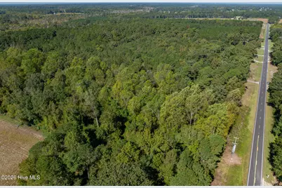 245 Tracy Brown Road, Magnolia, NC 28453 - Photo 40