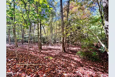387 Dawsons Lane, Murphy, NC 28906 - Photo 38