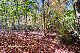 387 Dawsons Ln, Murphy, NC 28906 - Photo 38