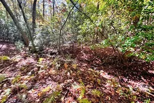 387 Dawsons Ln, Murphy, NC 28906 - Photo 32