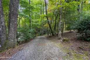 615 Valley View Heights Ln, Andrews, NC 28901 - Photo 52