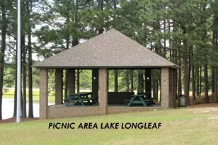 107 Dogwood Ln, West End, NC 27376 - Photo 64