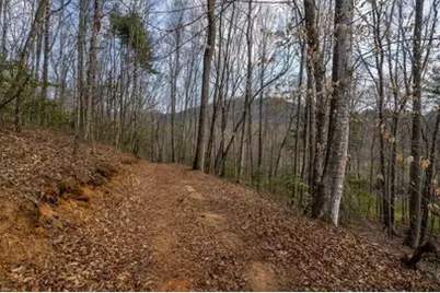 1132 Hells Hollow Road, Blue Ridge, GA 30513 - Photo 52