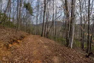 1132 Hells Hollow Rd, Blue Ridge, GA 30513 - Photo 52