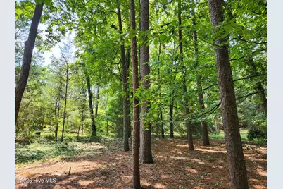 665 N Hale Street, Southern Pines, NC 28387 - Photo 4