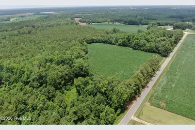 Tbd Pleasant Hope Road, Fairmont, NC 28340 - Photo 8
