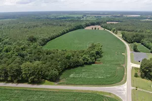 Tbd Pleasant Hope Rd, Fairmont, NC 28340 - Photo 1