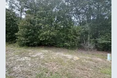 Lot 19 Ida Mill Road, Laurel Hill, NC 28351 - Photo 1
