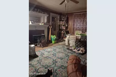 202 E Passaic Street, Peachland, NC 28133 - Photo 4