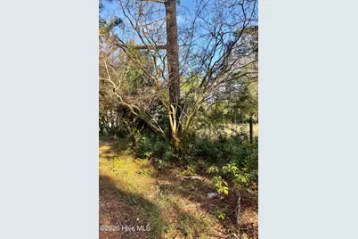 3 W Columbia Avenue, Hamlet, NC 28345 - Photo 10
