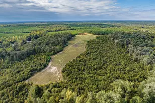 3275 Hadden Pond Rd, Avera, GA 30803 - Photo 68