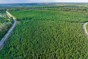 3275 Hadden Pond Rd, Avera, GA 30803 - Photo 54