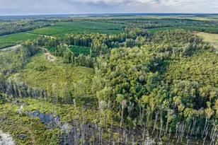 3275 Hadden Pond Rd, Avera, GA 30803 - Photo 66