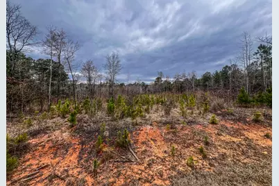 1080 Serenity Pointe Drive, Lincolnton, GA 30817 - Photo 2