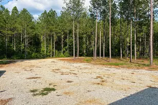 359 Poplar Ln, Crawfordville, GA 30631 - Photo 20