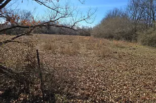 1667 Eden Hall Rd, Bradley, SC 29819 - Photo 26