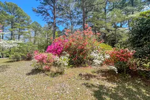 1433 Pine Log Rd, Aiken, SC 29803 - Photo 4