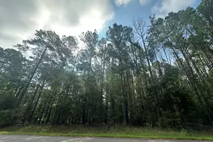 Lot 1 Dogwood Ln, Parksville, SC 29845 - Photo 1