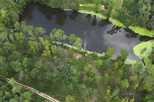 0 Hummingbird Dr, Trenton, SC 29847 - Photo 1