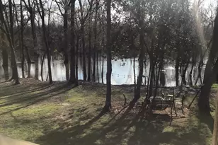 129 Brannen Landing Landing, Midville, GA 30441 - Photo 50