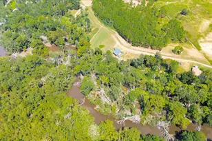 129 Brannen Landing Landing, Midville, GA 30441 - Photo 48