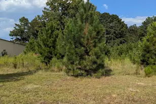 1661 Nixon Rd, Augusta, GA 30906 - Photo 1