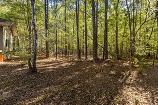 6768 Cobbham Rd, Appling, GA 30802 - Photo 66