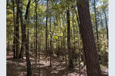 167 Southwind Drive, McCormick, SC 29835 - Photo 4