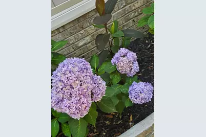 5049 Deer Trail Drive, Hephzibah, GA 30815 - Photo 36