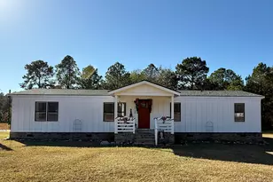 10199 Ga Hwy 296, Stapleton, GA 30823 - Photo 2