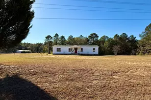 10199 Ga Hwy 296, Stapleton, GA 30823 - Photo 4