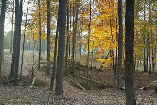 4-3 Long Cove Dr, Lincolnton, GA 30817 - Photo 1