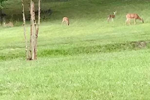 1044 Sardis Rd, Rayle, GA 30660 - Photo 62