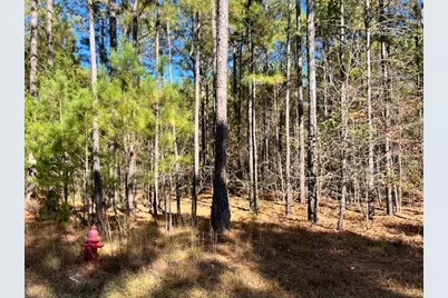 0 Mariners Way Lot #41, Lincolnton, GA 30817 - Photo 1