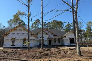 580 Long Shadow Dr, Aiken, SC 29803 - Photo 8