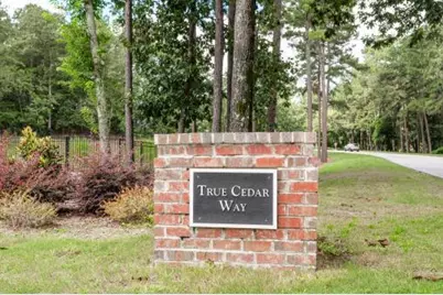437 True Cedar Way, Aiken, SC 29803 - Photo 8