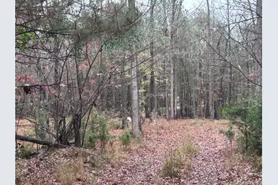 1956 Pineywoods Road, Lincolnton, GA 30817 - Photo 6