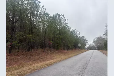 1956 Pineywoods Road, Lincolnton, GA 30817 - Photo 10
