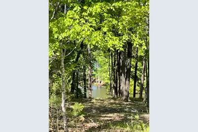 144 Shenandoah Dr Drive, McCormick, SC 29835 - Photo 44