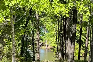 144 Shenandoah Dr Dr, McCormick, SC 29835 - Photo 44