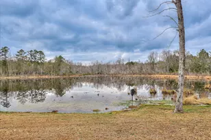 735 Perkins Mill Rd, Blythe, GA 30805 - Photo 52