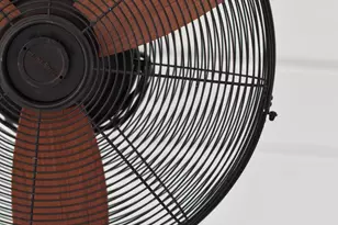 2239 Windsor Spring Rd, Augusta, GA 30906 - Photo 58