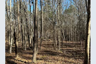 Lot 62 Wisteria Drive, Lincolnton, GA 30817 - Photo 6