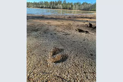 Lot 62 Wisteria Drive, Lincolnton, GA 30817 - Photo 14