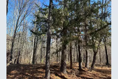 Lot 62 Wisteria Drive, Lincolnton, GA 30817 - Photo 4