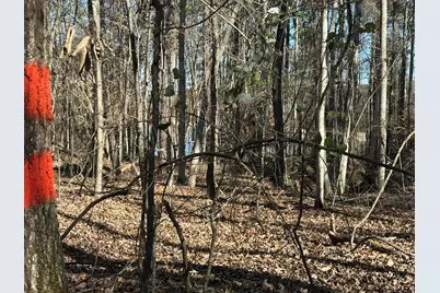 Lot 62 Wisteria Drive, Lincolnton, GA 30817 - Photo 8