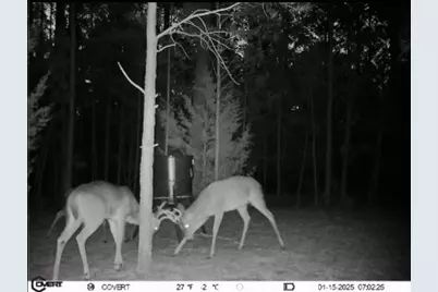 0 Pineridge Drive, Lincolnton, GA 30817 - Photo 22