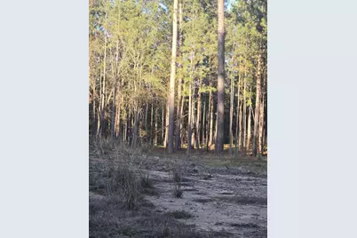 0 Pineridge Drive, Lincolnton, GA 30817 - Photo 4