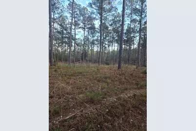 0 Pineridge Drive, Lincolnton, GA 30817 - Photo 14