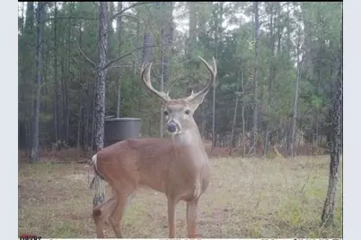 0 Pineridge Drive, Lincolnton, GA 30817 - Photo 28